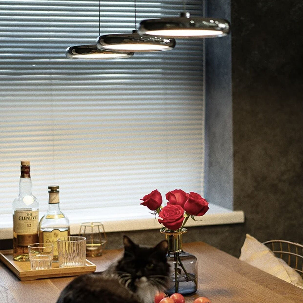 Arisha Minimalist Circular Metal Pendant Light,Silver/Gold/Rose Gold - Neutralighting