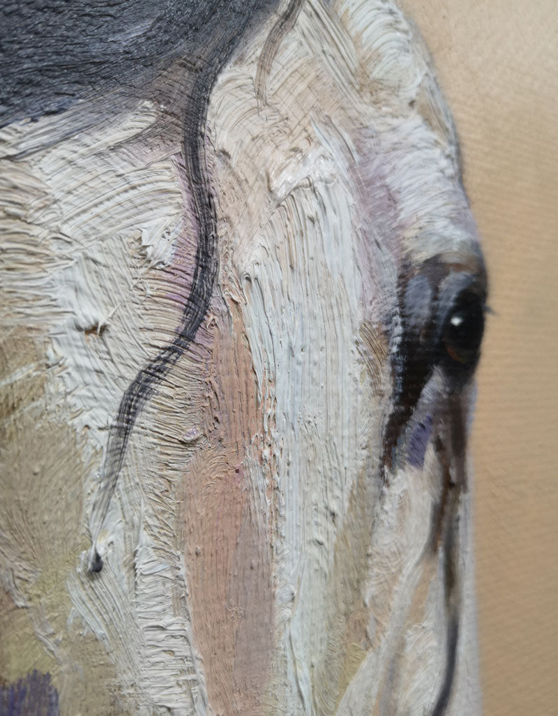Brown Horse Abstract Art ANH14 - Neutralighting