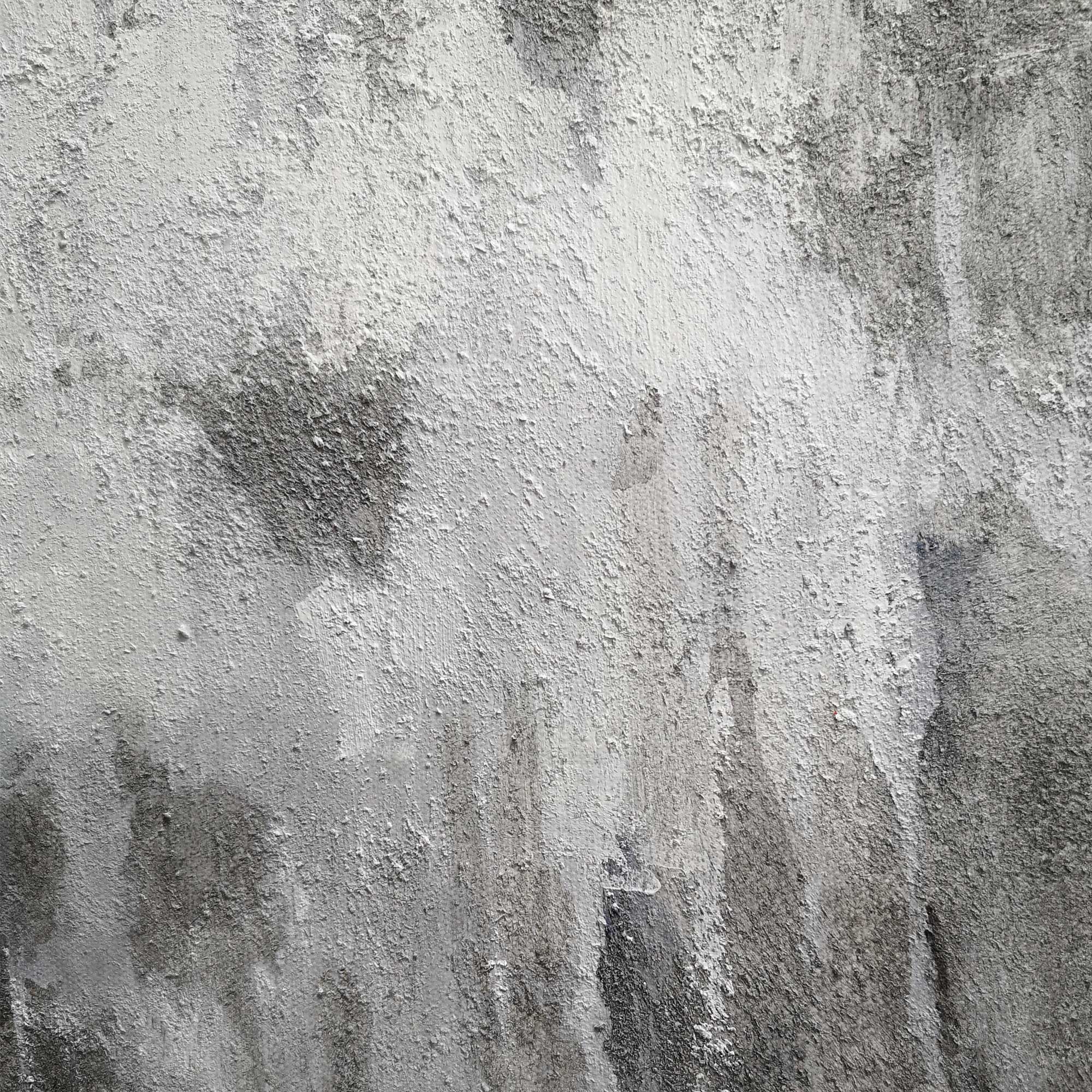 Wall Art Monochrome Woodland Haze