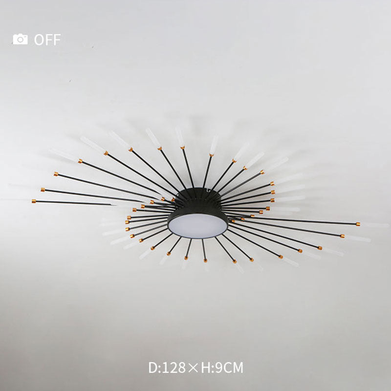 Wesley Modern Home Decoration Fireworks LED Ceiling Light