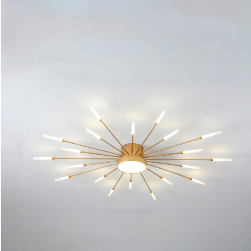 Wesley Modern Home Decoration Fireworks LED Ceiling Light