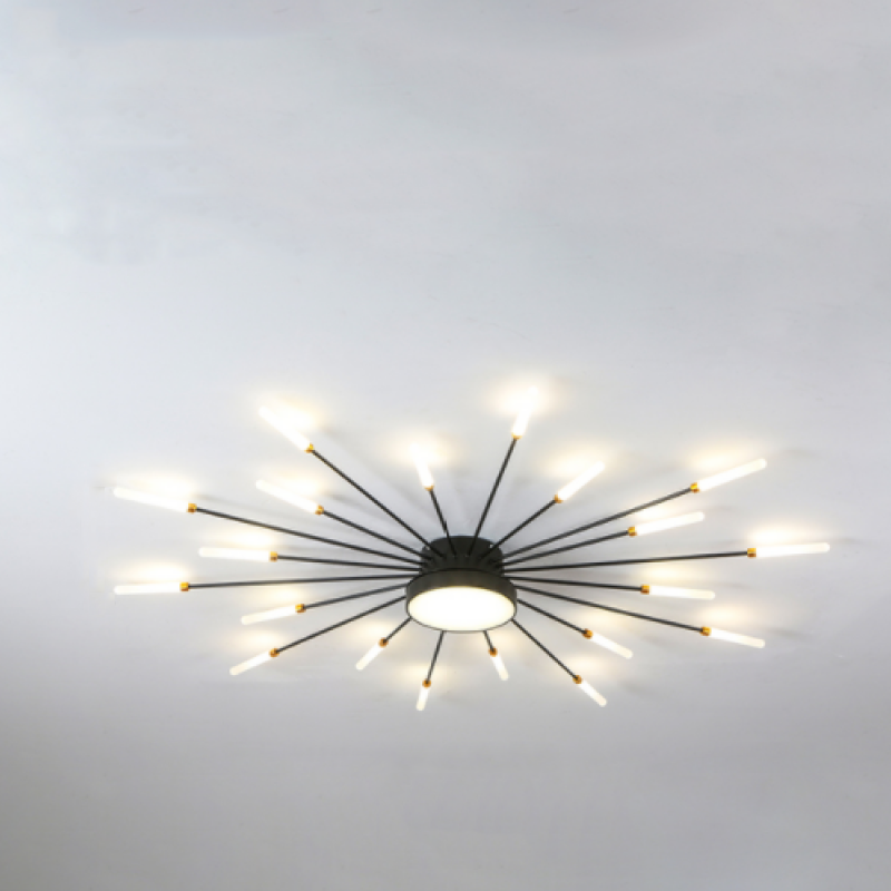 Wesley Modern Home Decoration Fireworks LED Ceiling Light