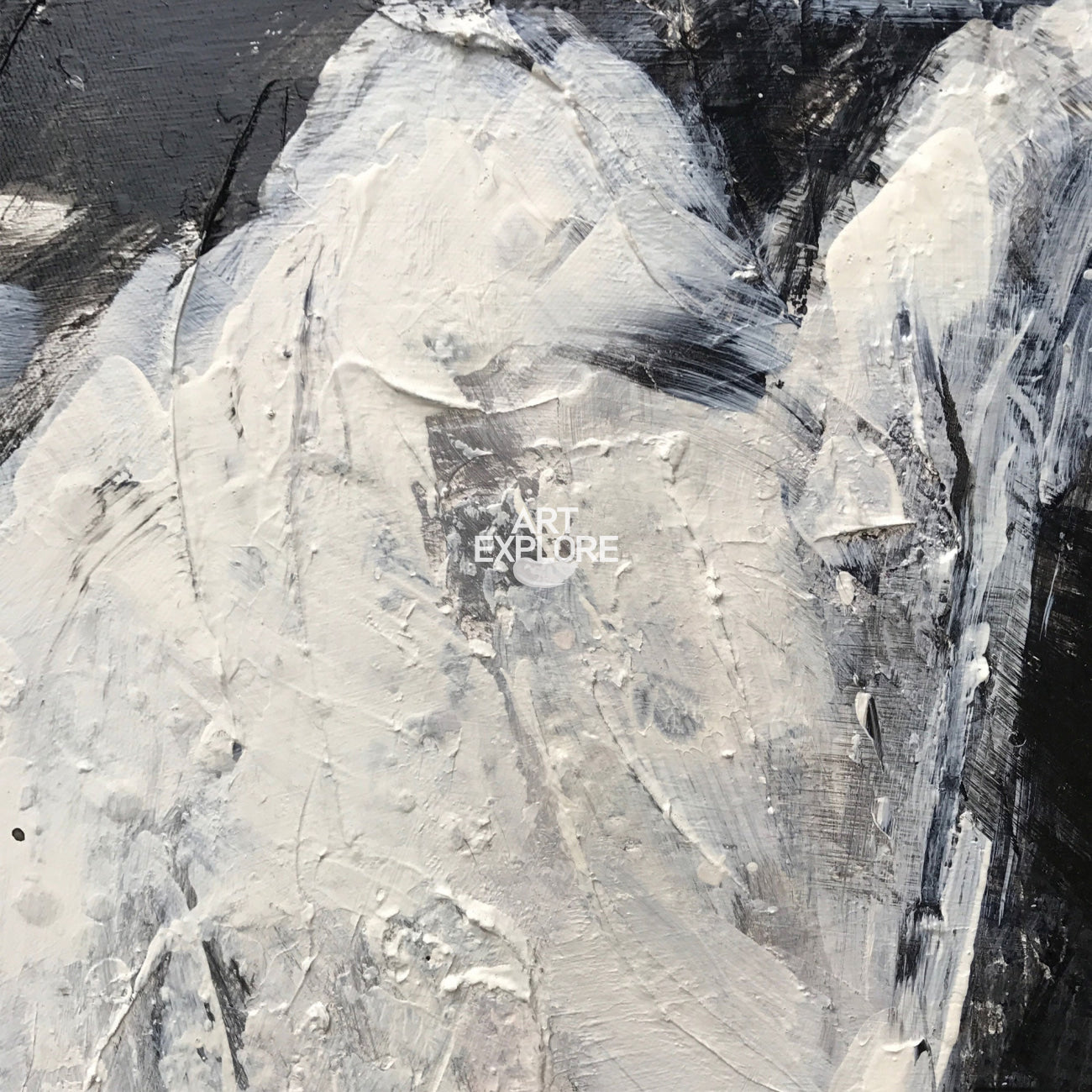 White Horse Abstract Portrait Painting