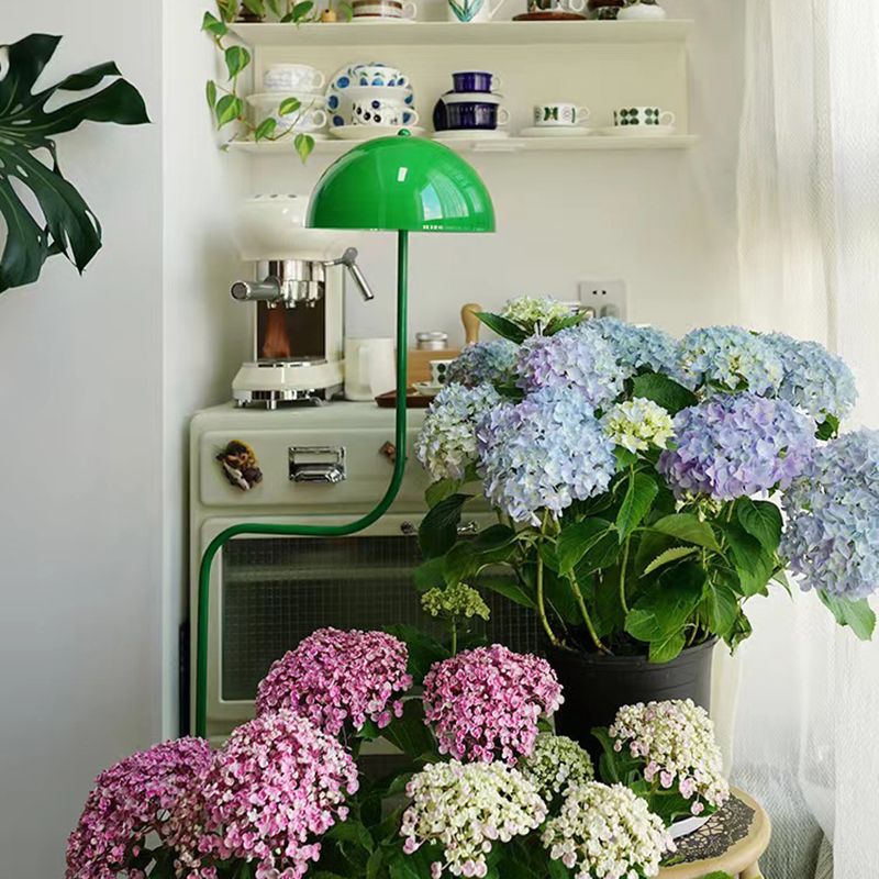 Salgado Floor Lamp Mushroom Middle Ancient, Arc Metal, Green, Dining Room - Neutralighting