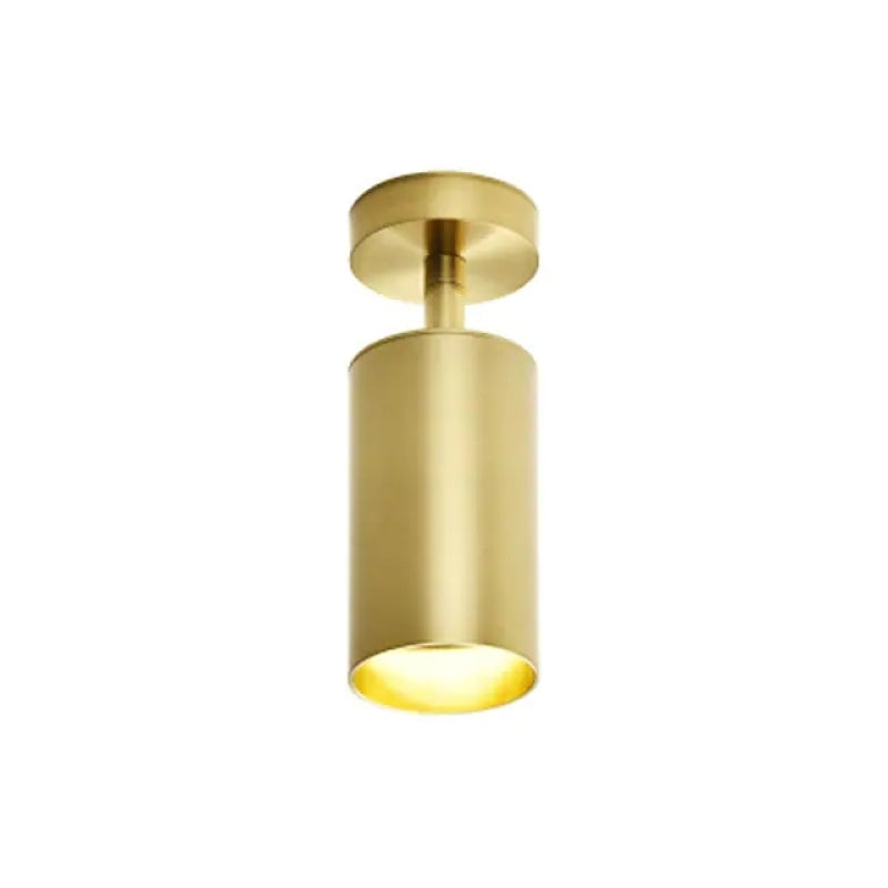 Aria Moderno Gold Cylinder Spotlight Background Flush Mount Ceiling Light, Metal - Neutralighting