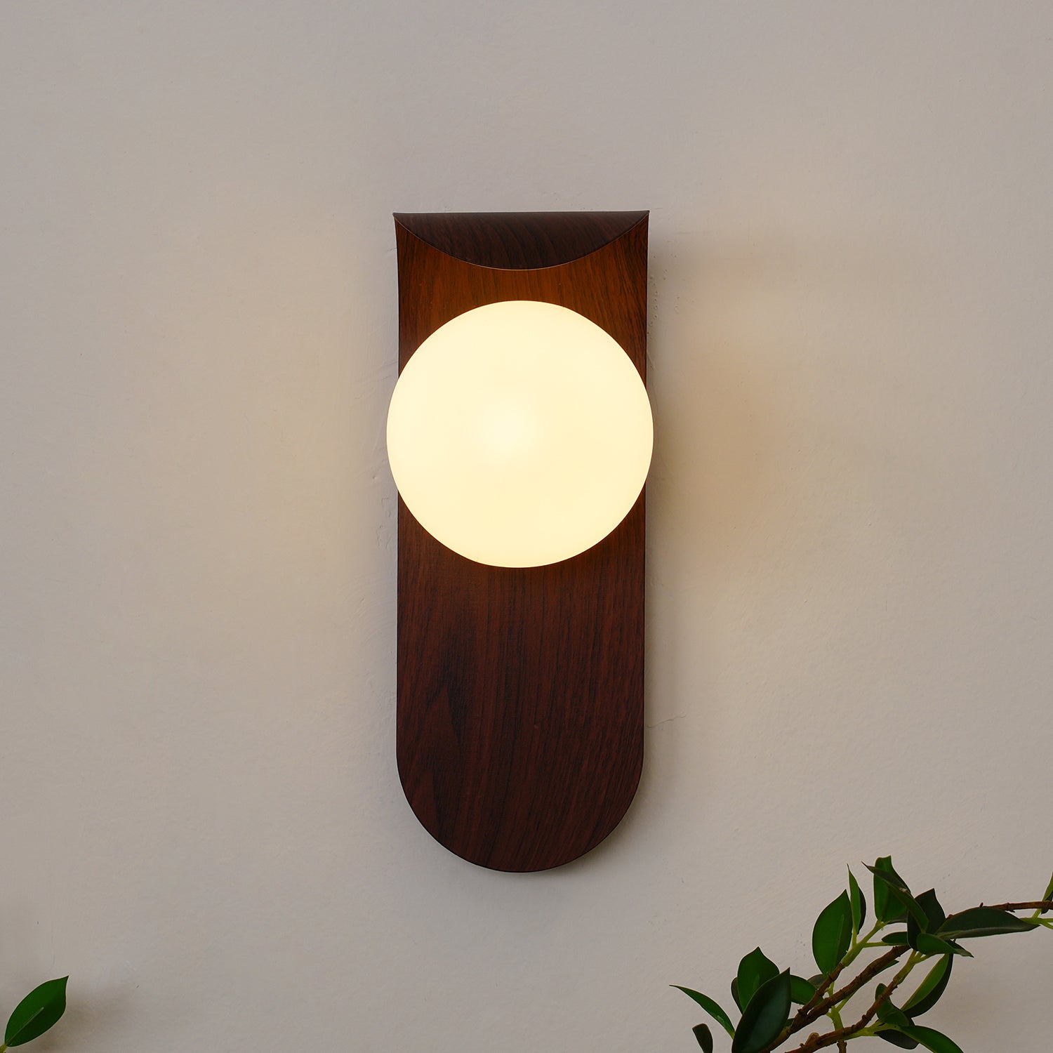 Exuro Indoor Wall Lamp Wood / Walnut - Neutralighting