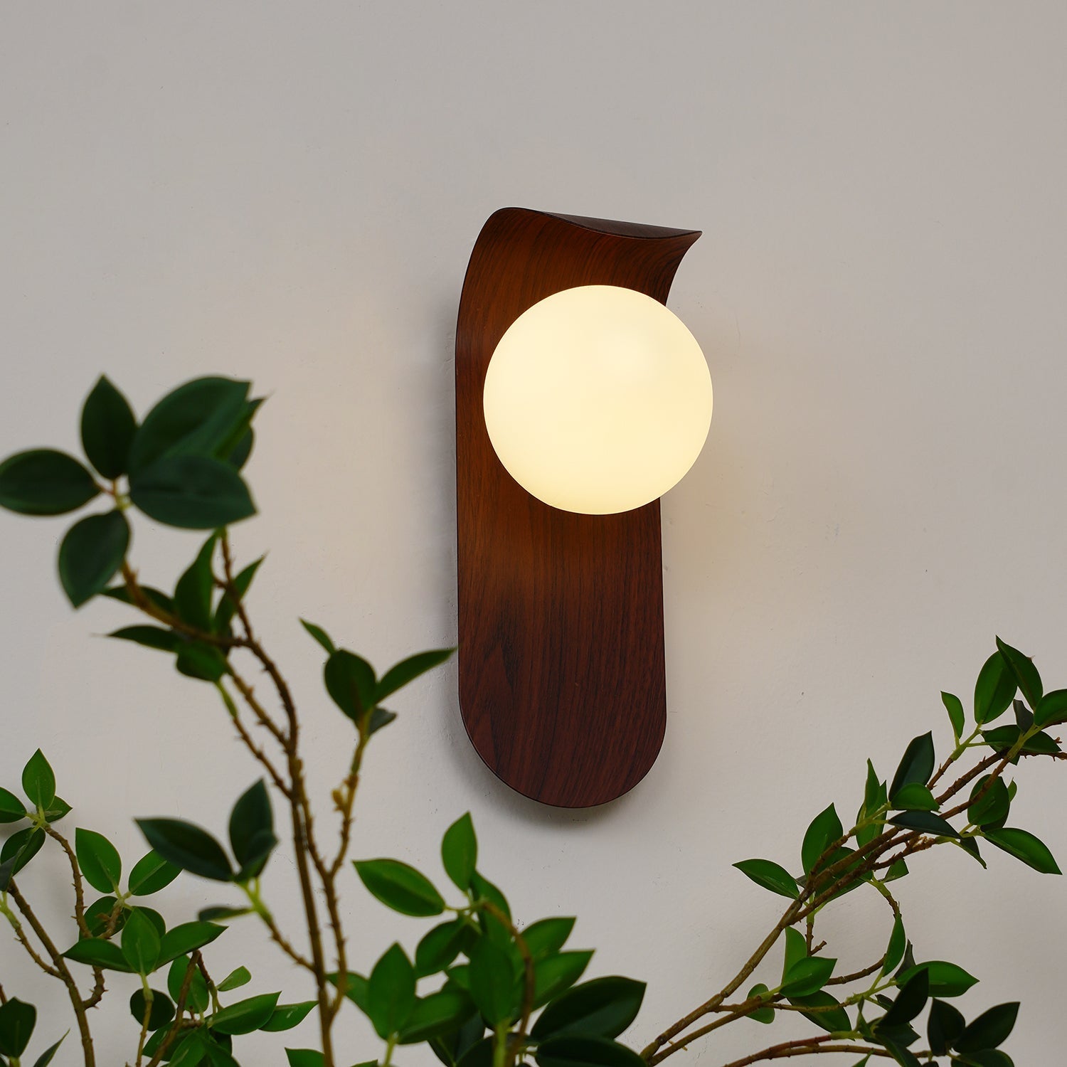 Exuro Indoor Wall Lamp Wood / Walnut - Neutralighting