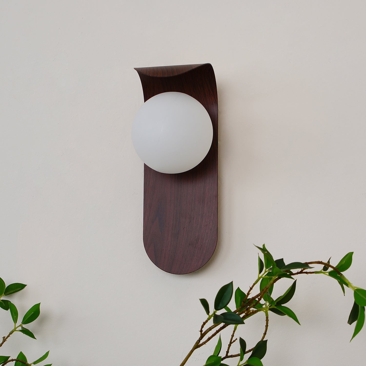 Exuro Indoor Wall Lamp Wood / Walnut - Neutralighting