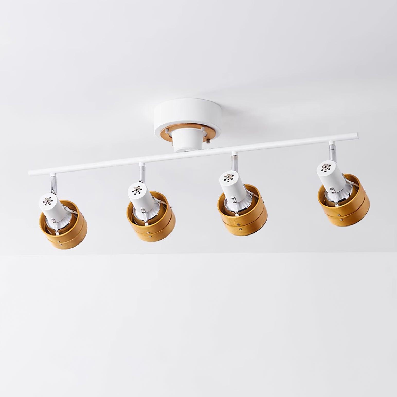 Daven Adjustable 4-Light Track Spotlight - Neutralighting