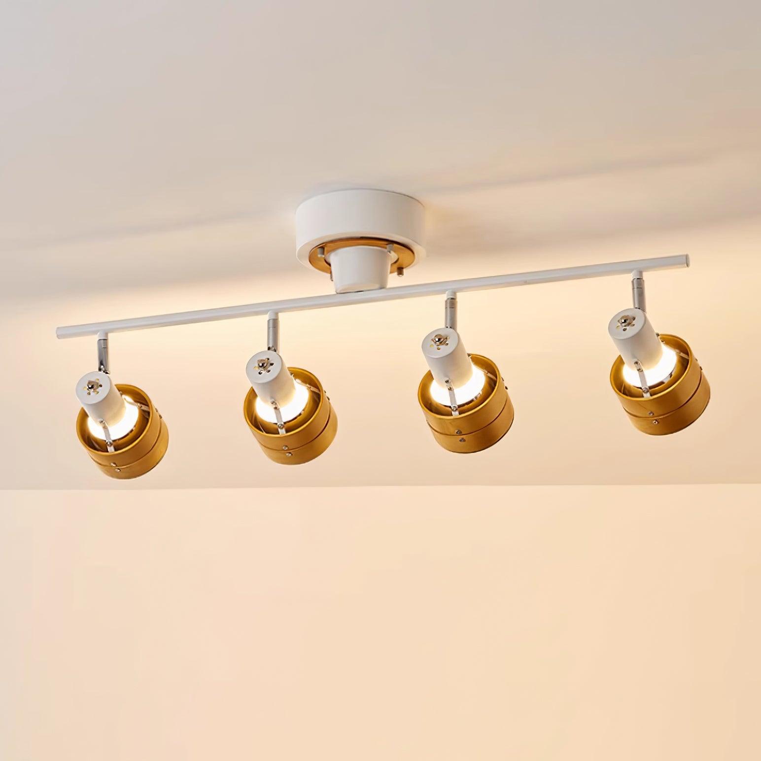 Daven Adjustable 4-Light Track Spotlight - Neutralighting