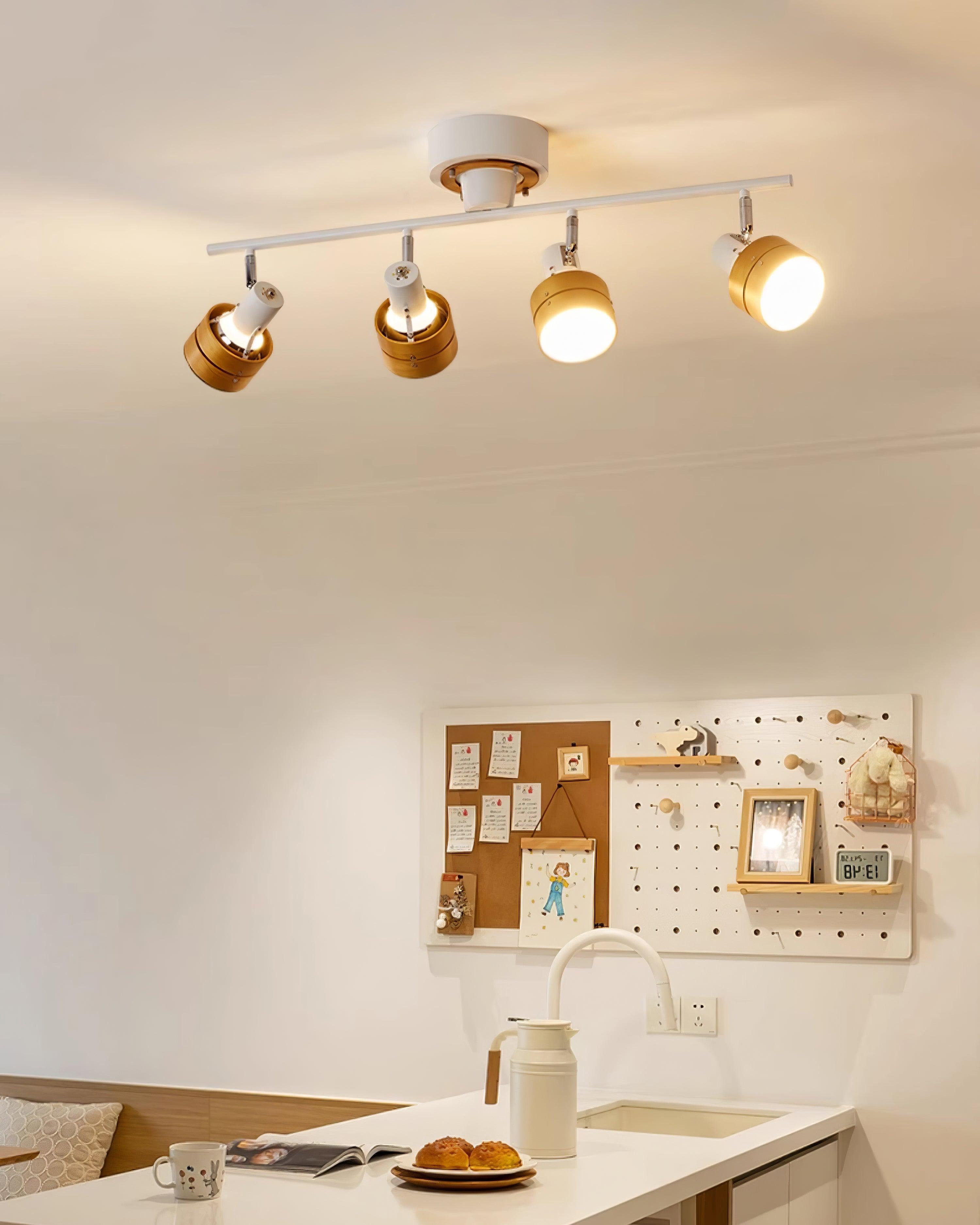 Daven Adjustable 4-Light Track Spotlight - Neutralighting