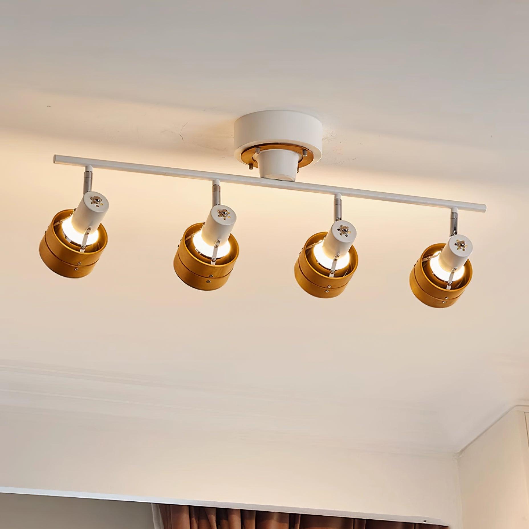 Daven Adjustable 4-Light Track Spotlight - Neutralighting