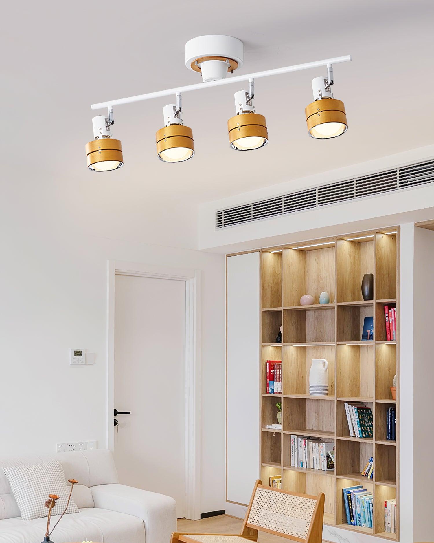 Daven Adjustable 4-Light Track Spotlight - Neutralighting