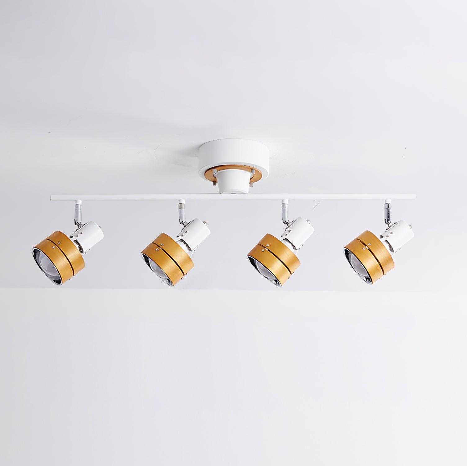Daven Adjustable 4-Light Track Spotlight - Neutralighting
