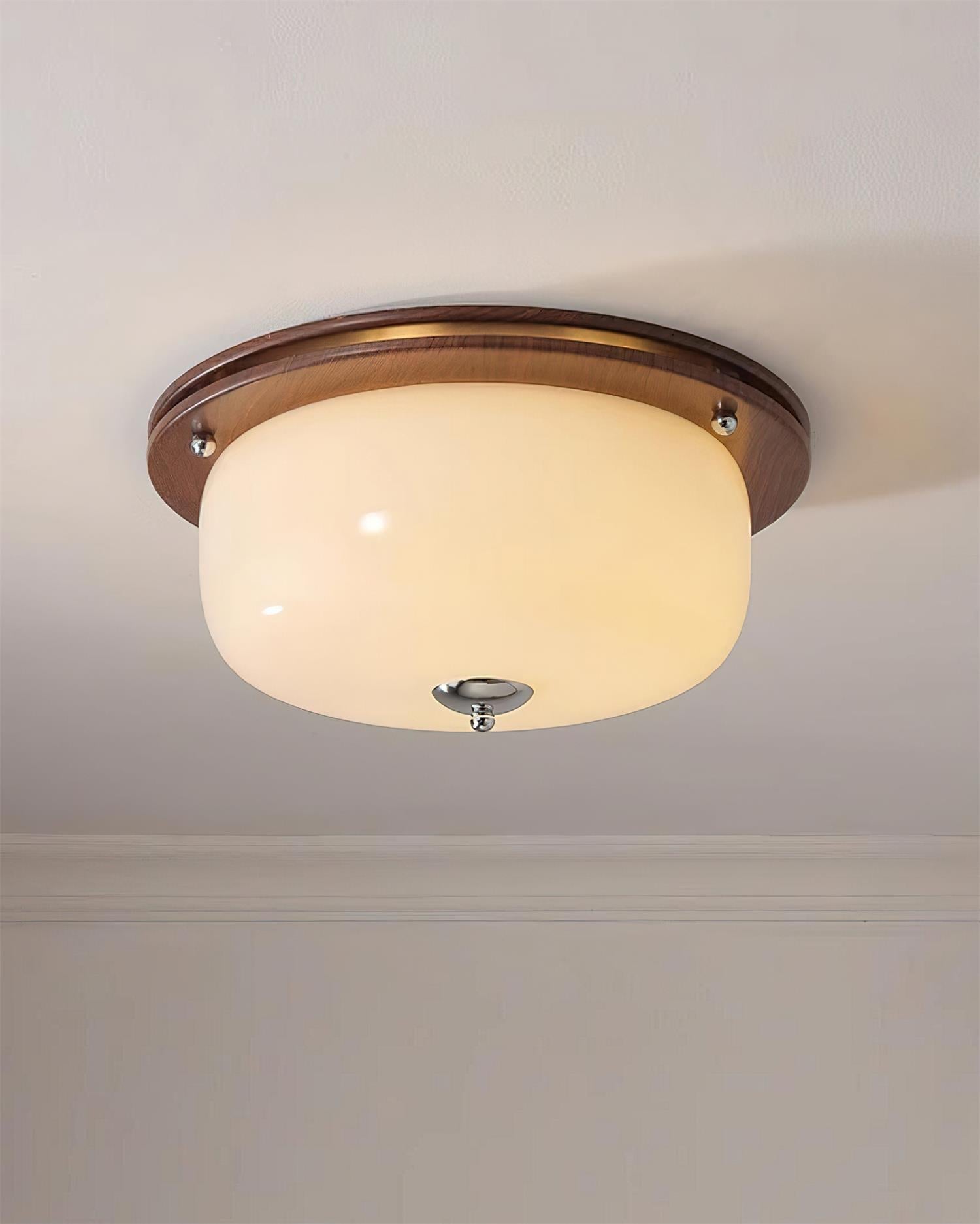 Ceiling Light Glass Flush Mount Modern Minimalist Walnut Brown - Neutralighting