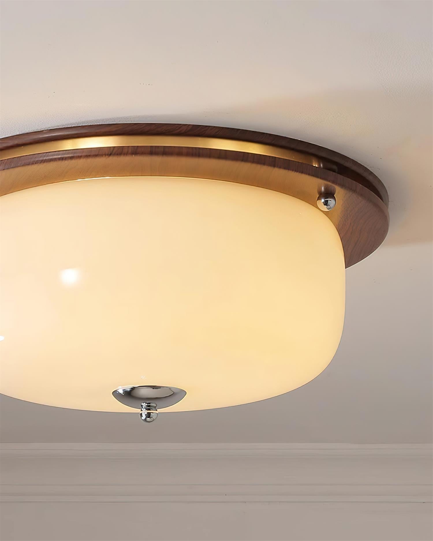 Ceiling Light Glass Flush Mount Modern Minimalist Walnut Brown - Neutralighting