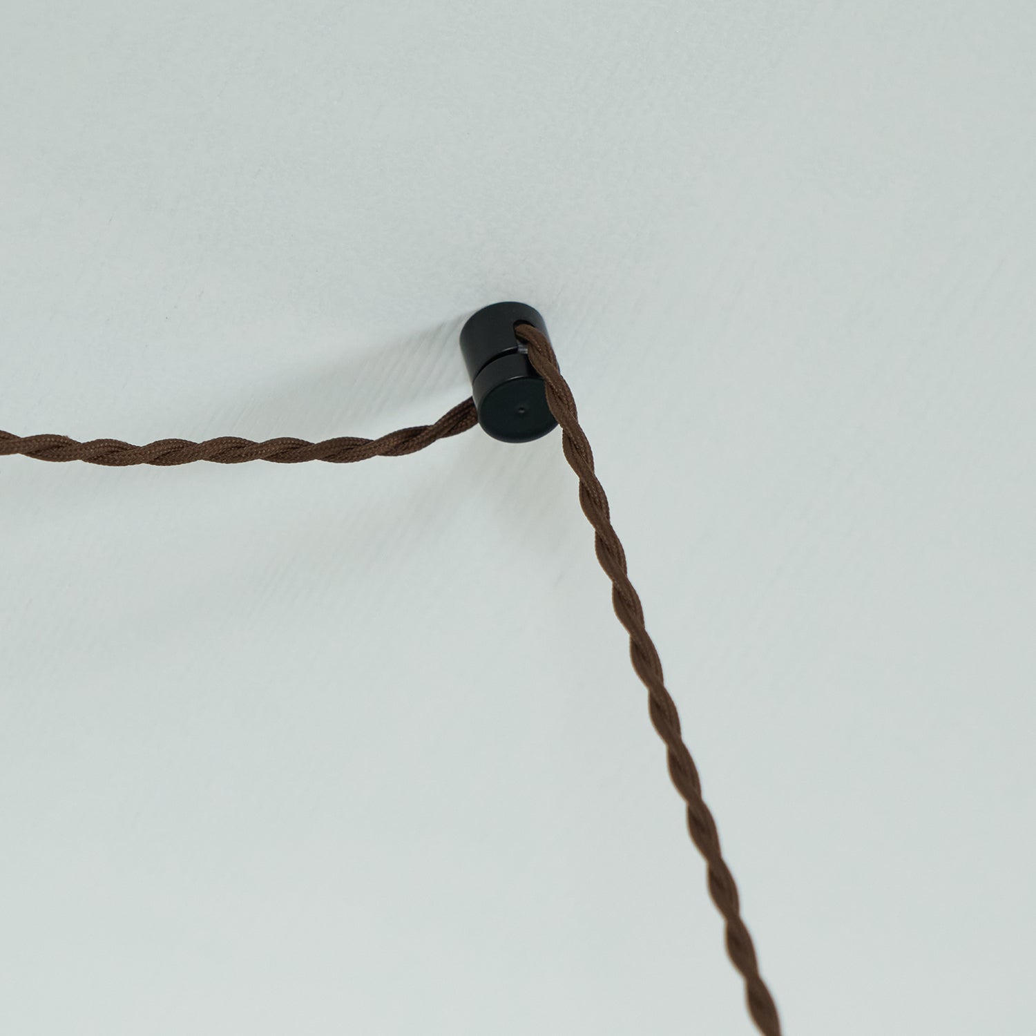 Charlotte Pendant Light 2 Style