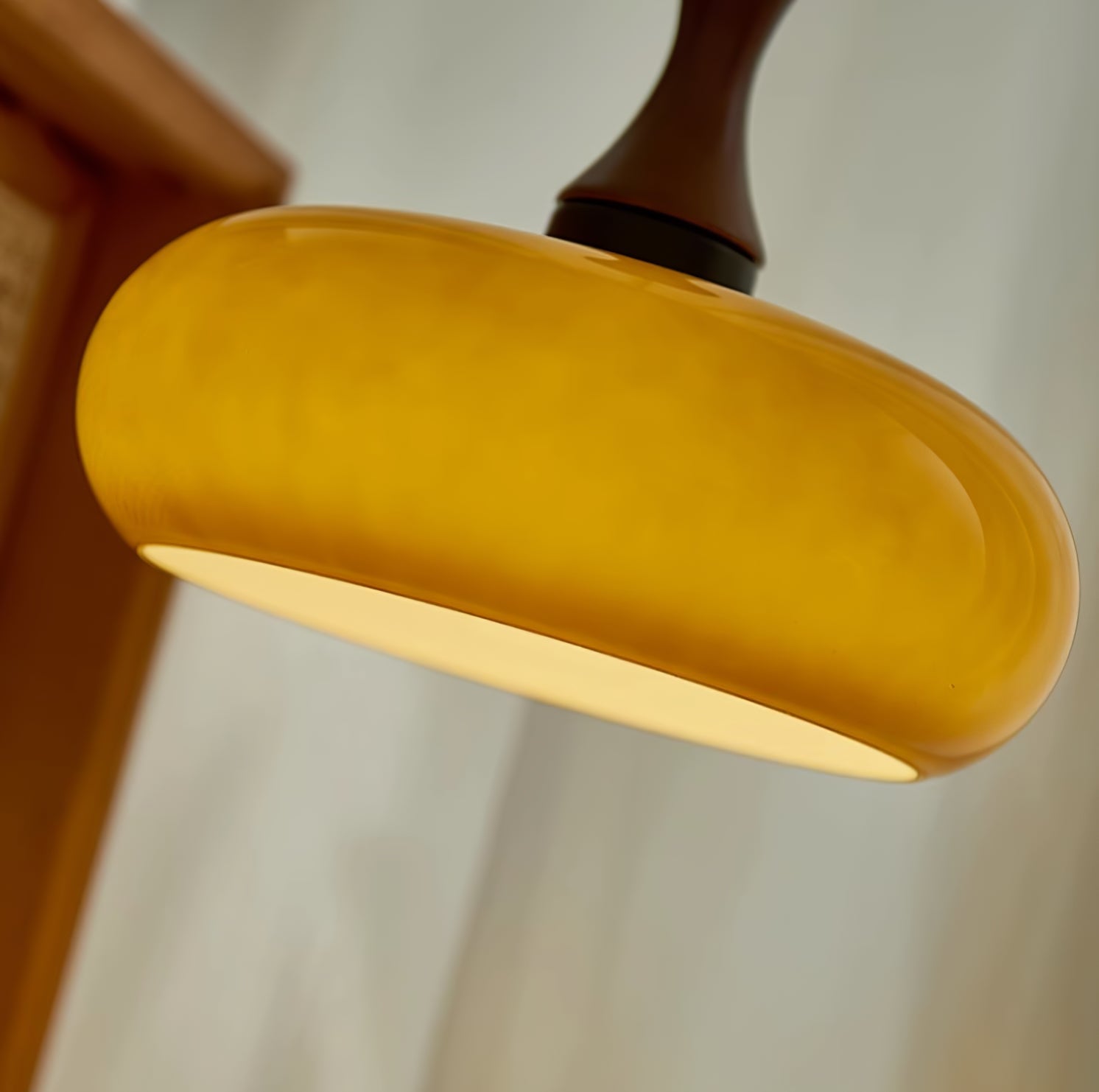 Charlotte Pendant Light 2 Style