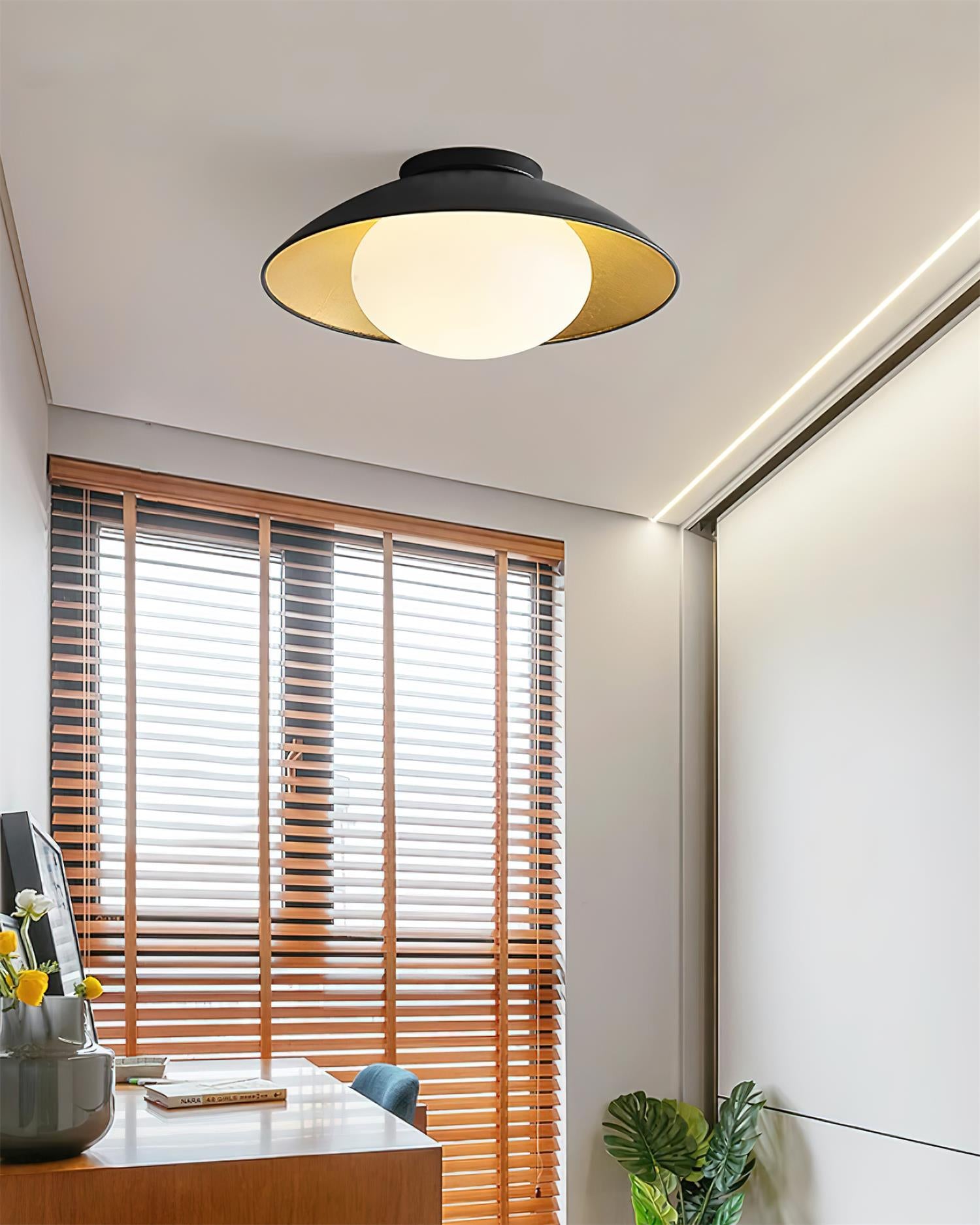Ceiling Light Metal Canopy Glass Globe Modern Minimalist - Neutralighting