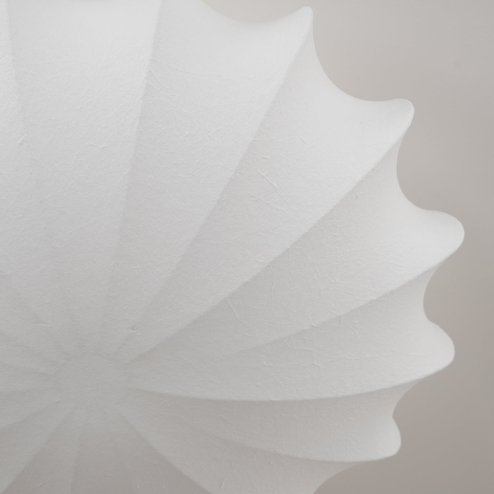 Blan Ceiling Light Seashell Simplicity - Neutralighting