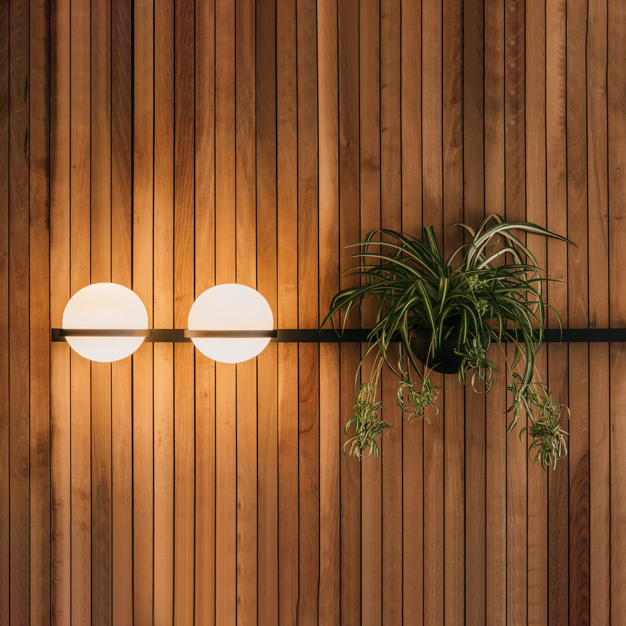Ray Indoor Outdoor Wall Light - Neutralighting