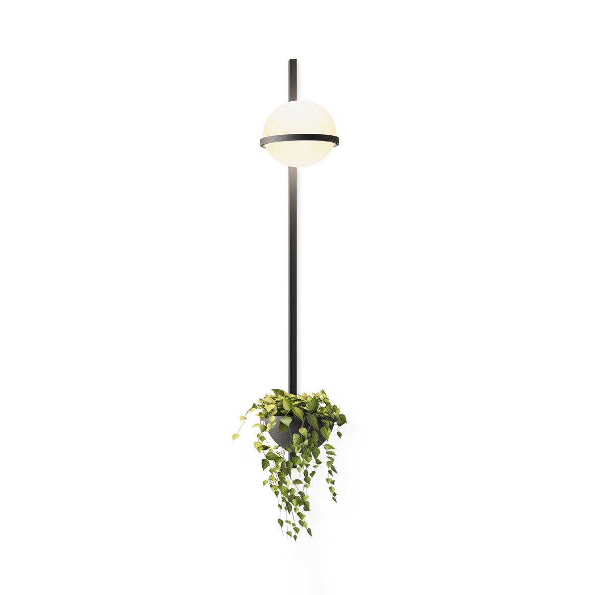 Ray Indoor Outdoor Wall Light - Neutralighting
