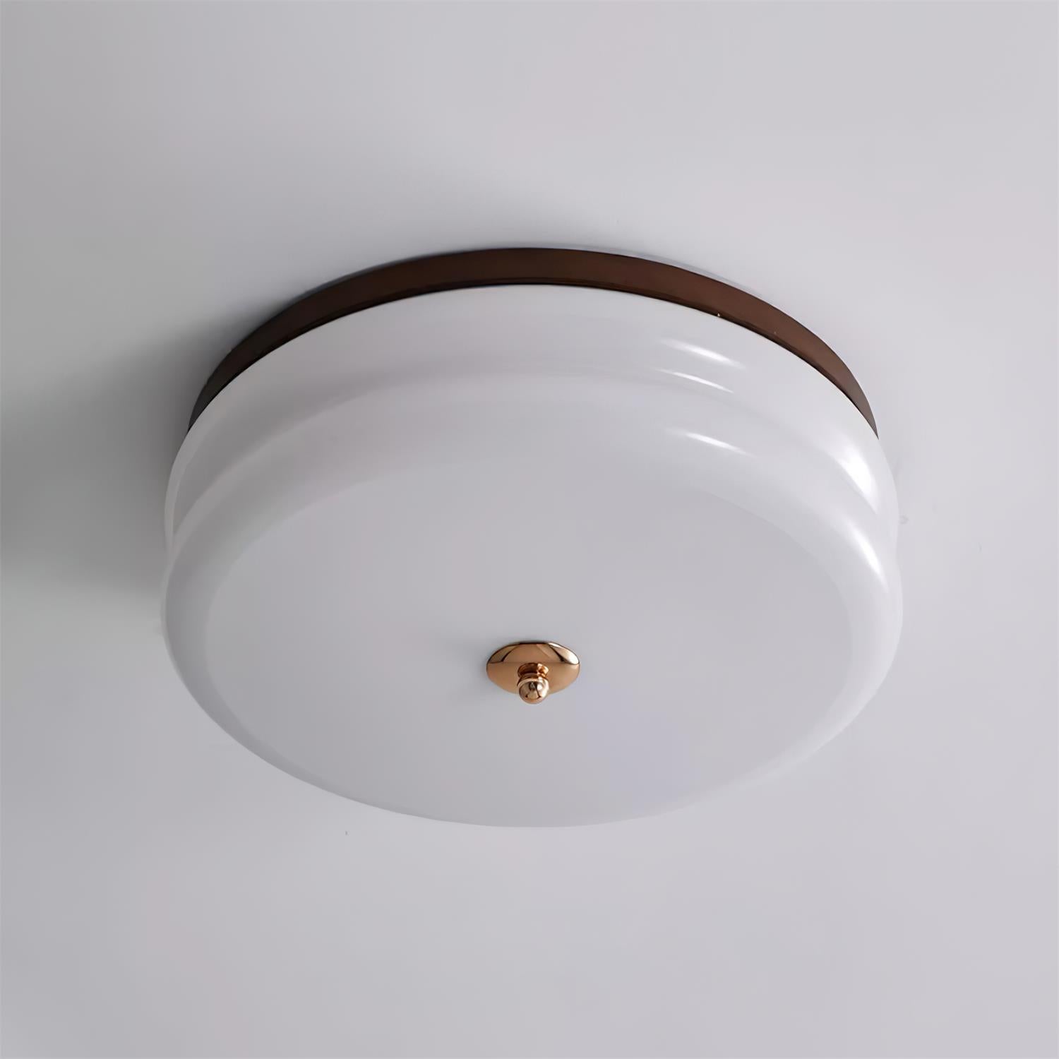 Ceiling Light Double-Layer Glass Disc Walnut Wood Minimalist - Neutralighting