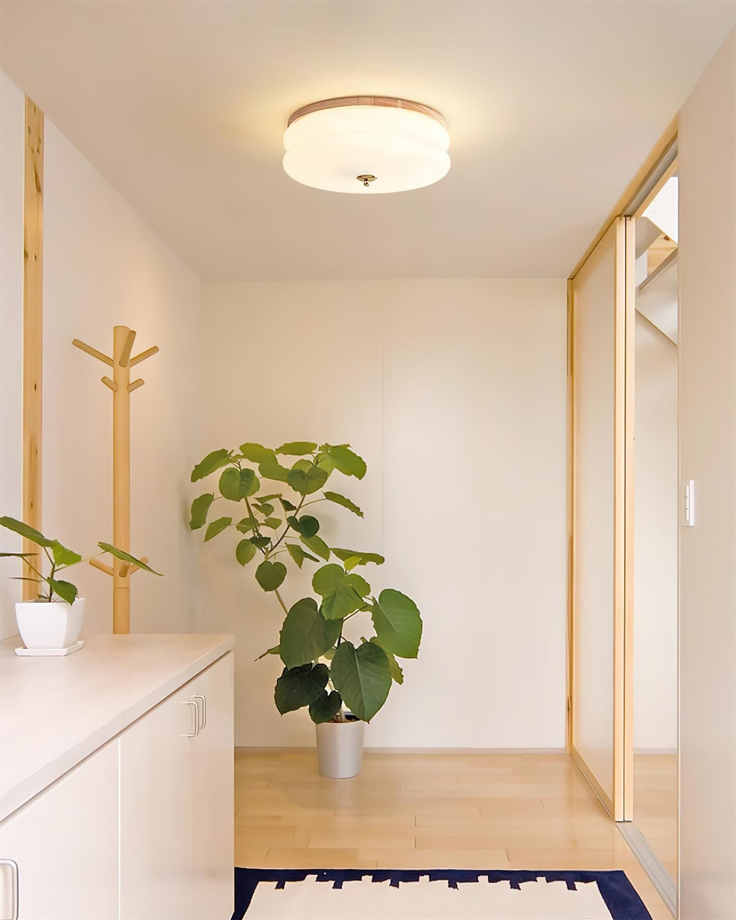 Ceiling Light Double-Layer Glass Disc Walnut Wood Minimalist - Neutralighting