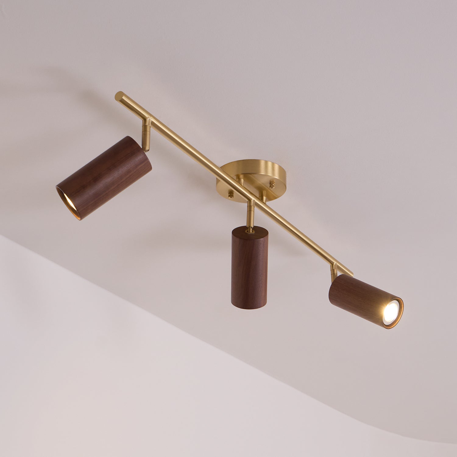 Liora Wooden Track Ceiling Light - Neutralighting