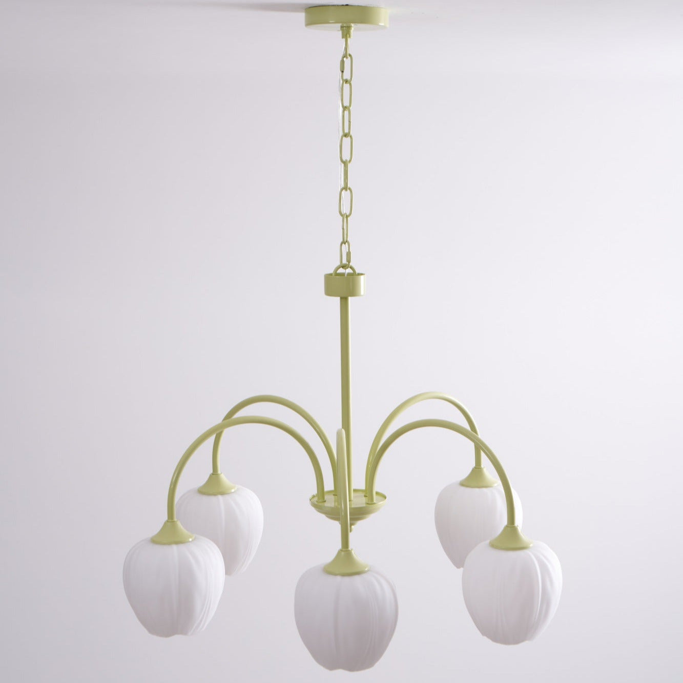 Tulip Fresh Chandeliers Glass - Neutralighting