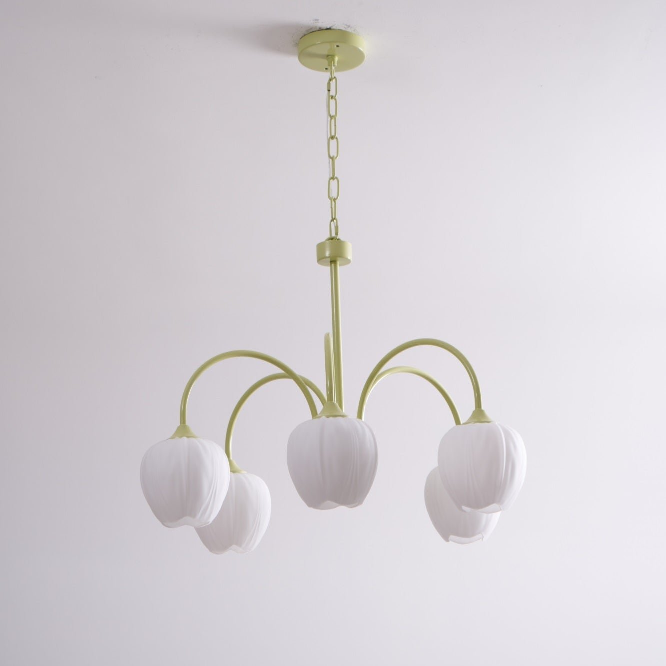 Tulip Fresh Chandeliers Glass - Neutralighting