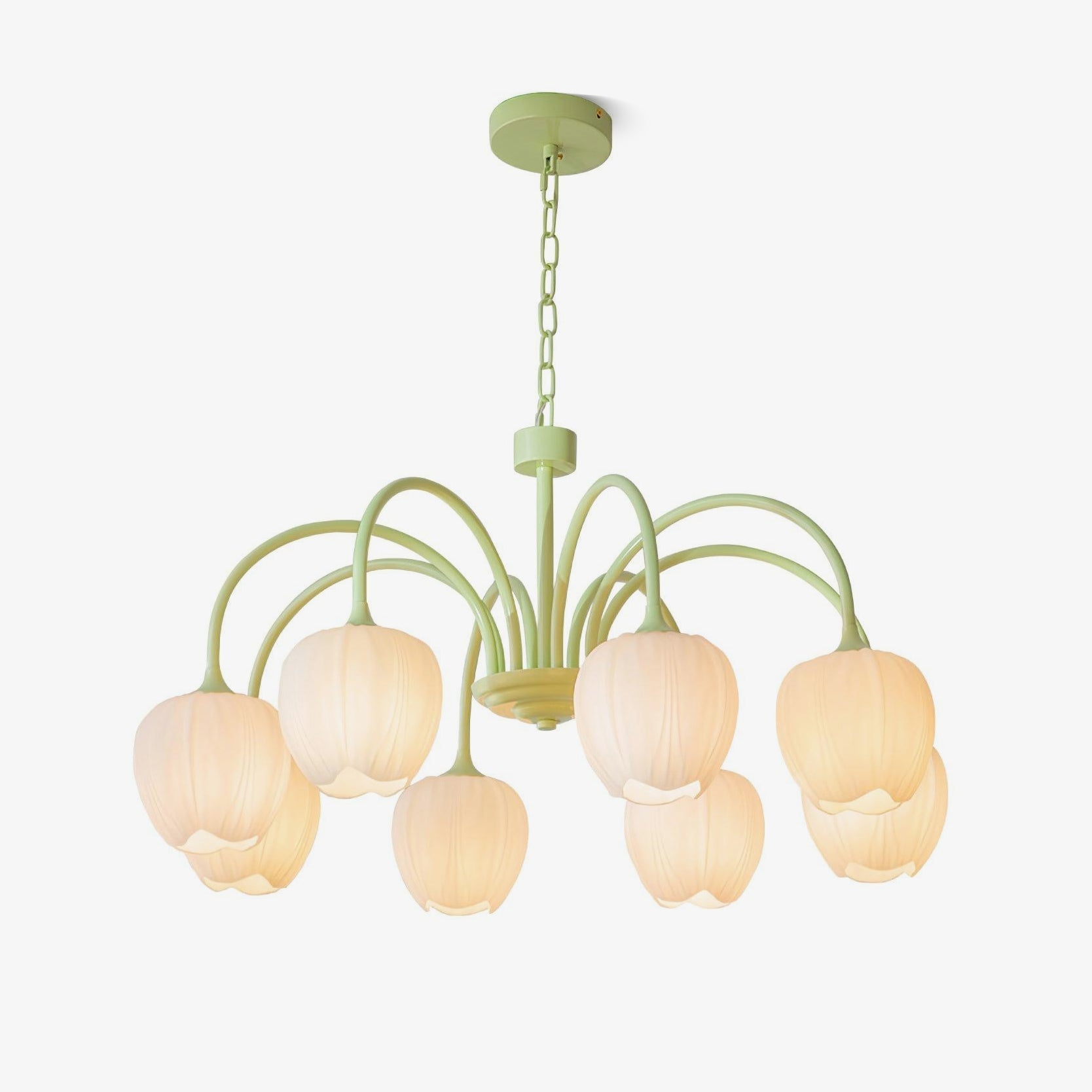 Tulip Fresh Chandeliers Glass - Neutralighting