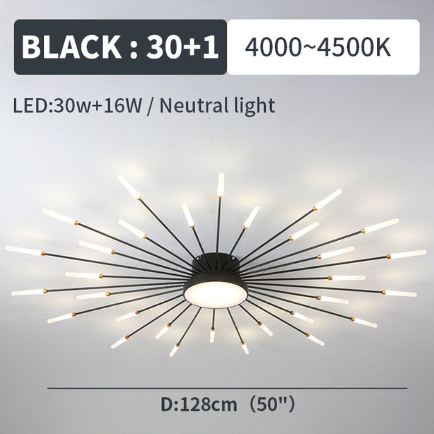 Wesley Modern Home Decoration Fireworks LED Ceiling Light