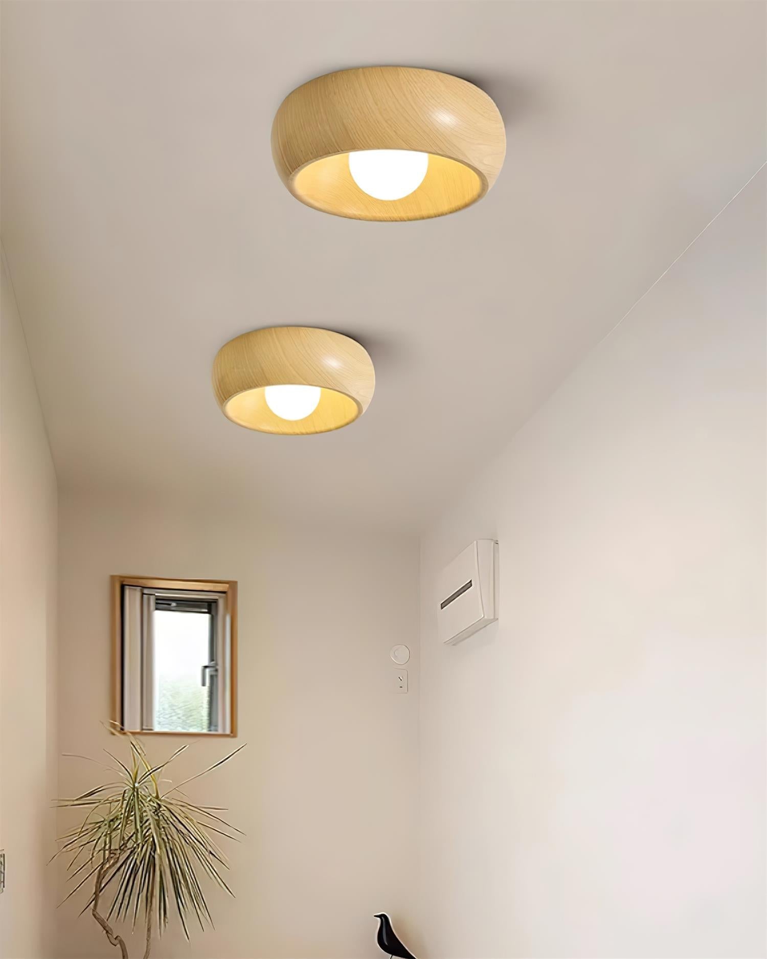 Ardena Ceiling Light