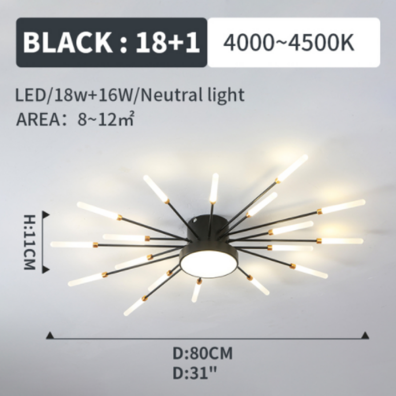 Wesley Modern Home Decoration Fireworks LED Ceiling Light