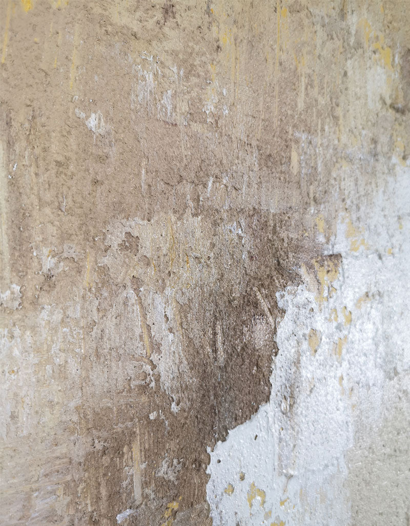 Brown Abstract Horse Painting ANH06 - Neutralighting
