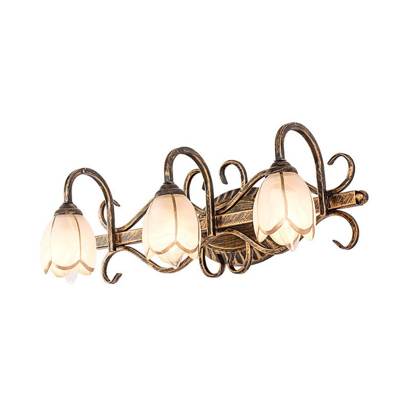 Arisha Antique Brass Flower Mirror Front Vanity Wall Lamp - Neutralighting