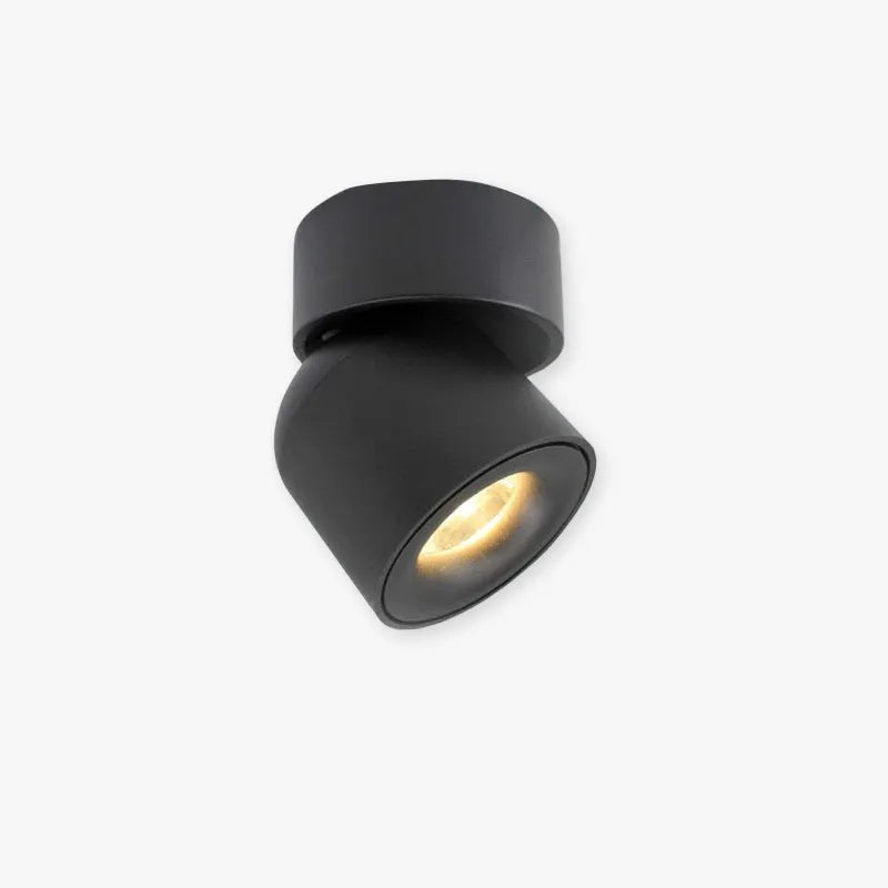 Kilo Spotlight Modern LED Flush Mount Ceiling Light, Black/White - Neutralighting