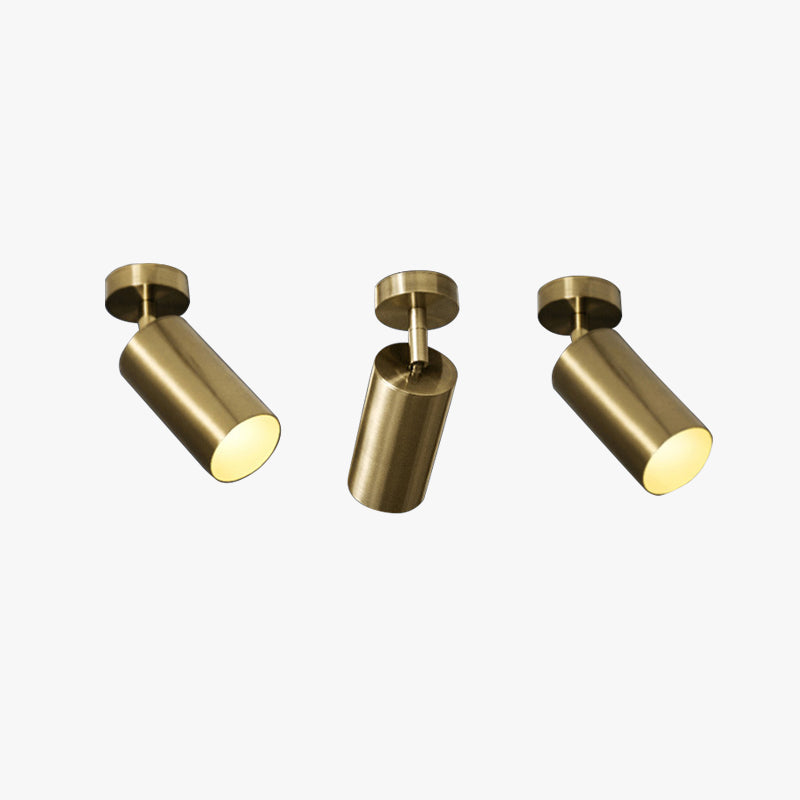 Aria Moderno Gold Cylinder Spotlight Background Flush Mount Ceiling Light, Metal - Neutralighting