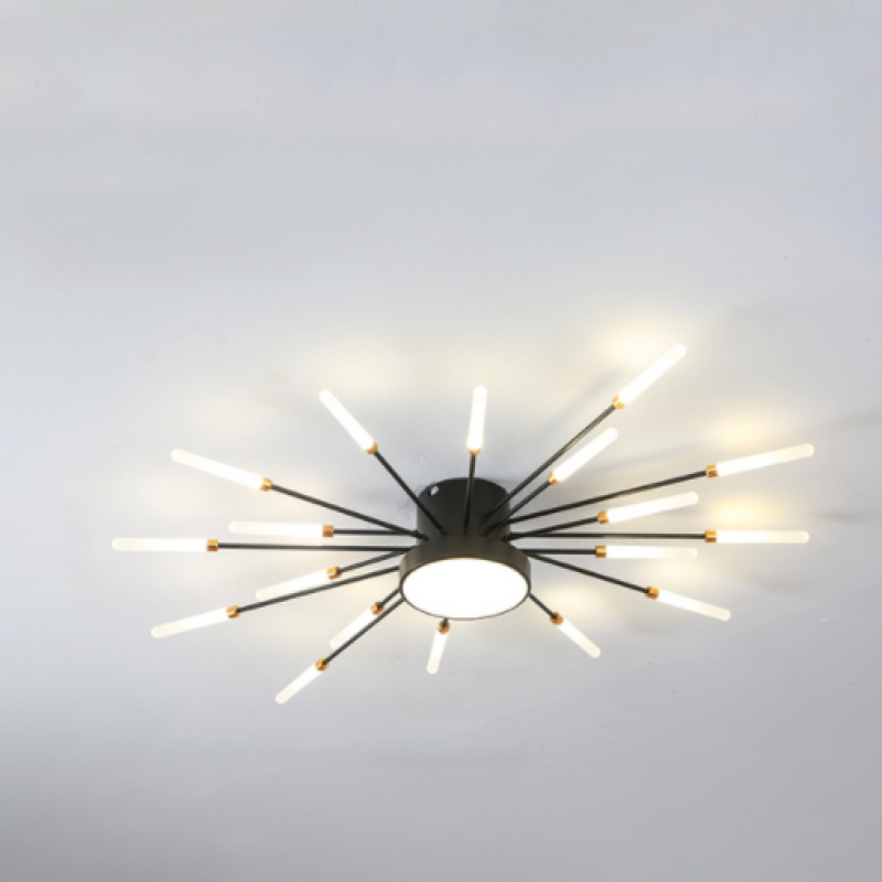 Wesley Modern Home Decoration Fireworks LED Ceiling Light