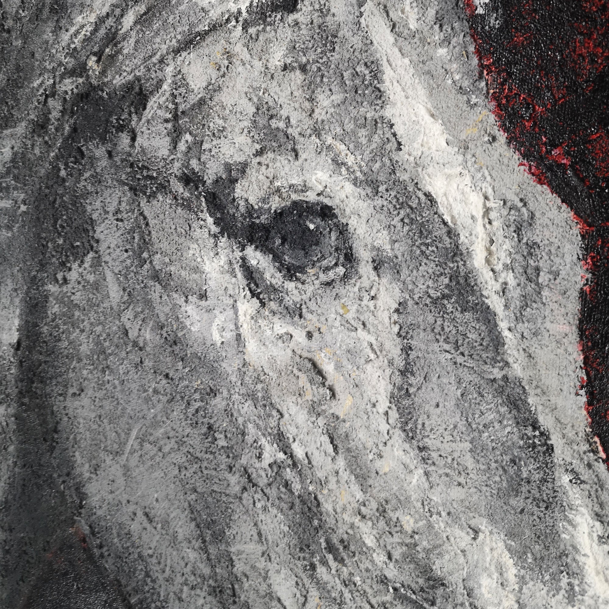 Modern Horse Portrait Art ANH28 - Neutralighting