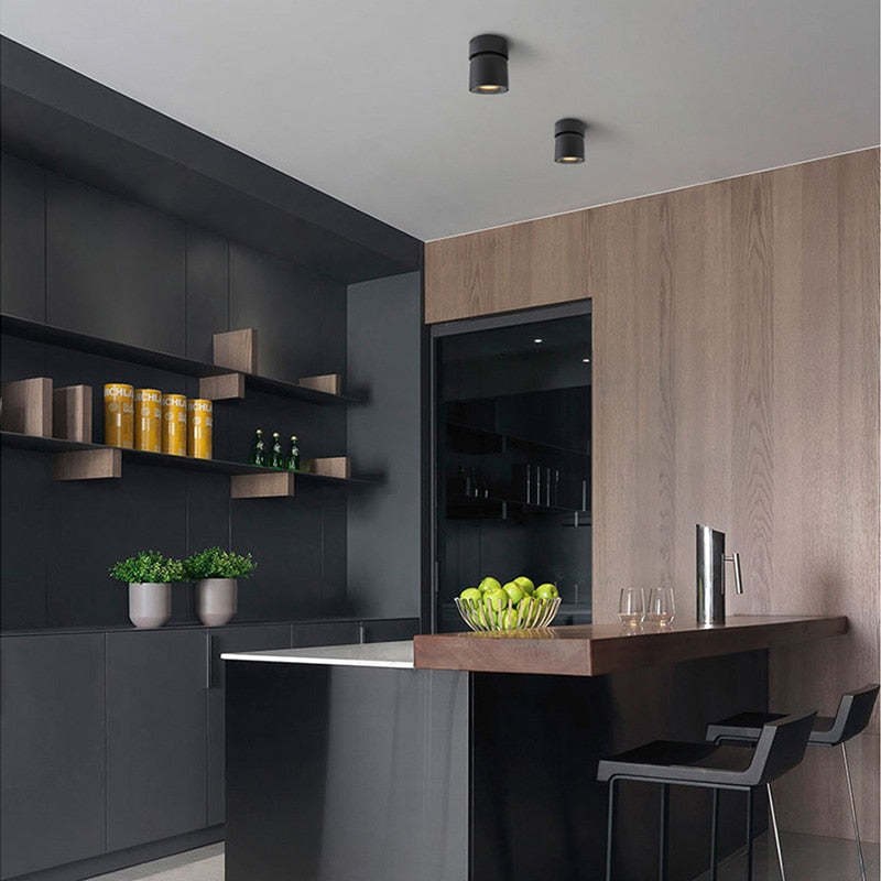 Kilo Spotlight Modern LED Flush Mount Ceiling Light, Black/White - Neutralighting