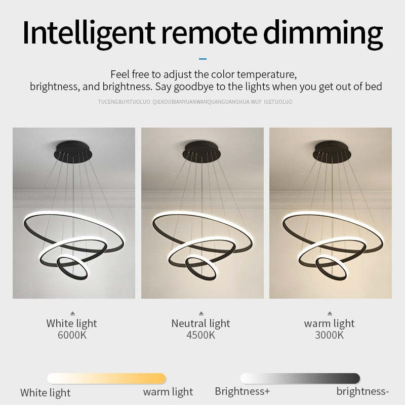 Zin Modern Ring Pendant Light, 2/3/4 Rings - Neutralighting