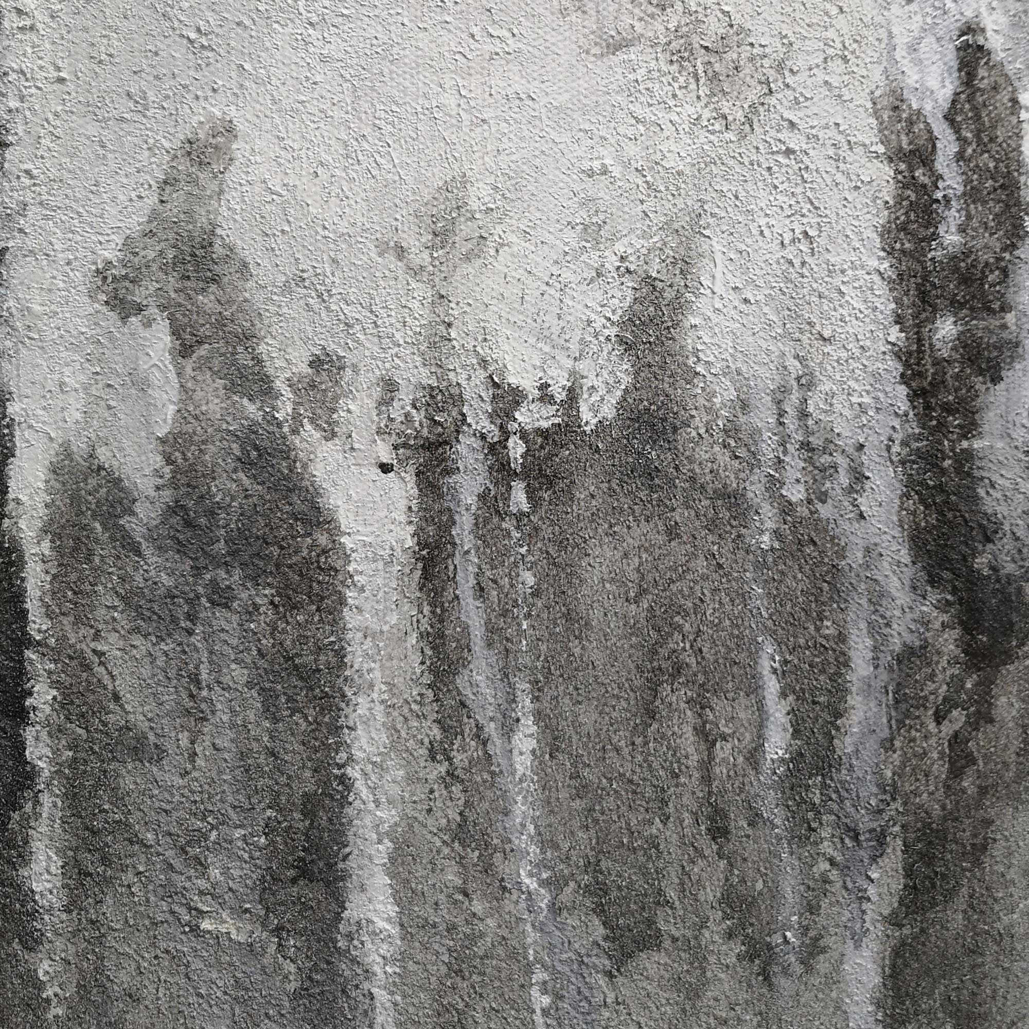 Wall Art Monochrome Woodland Haze