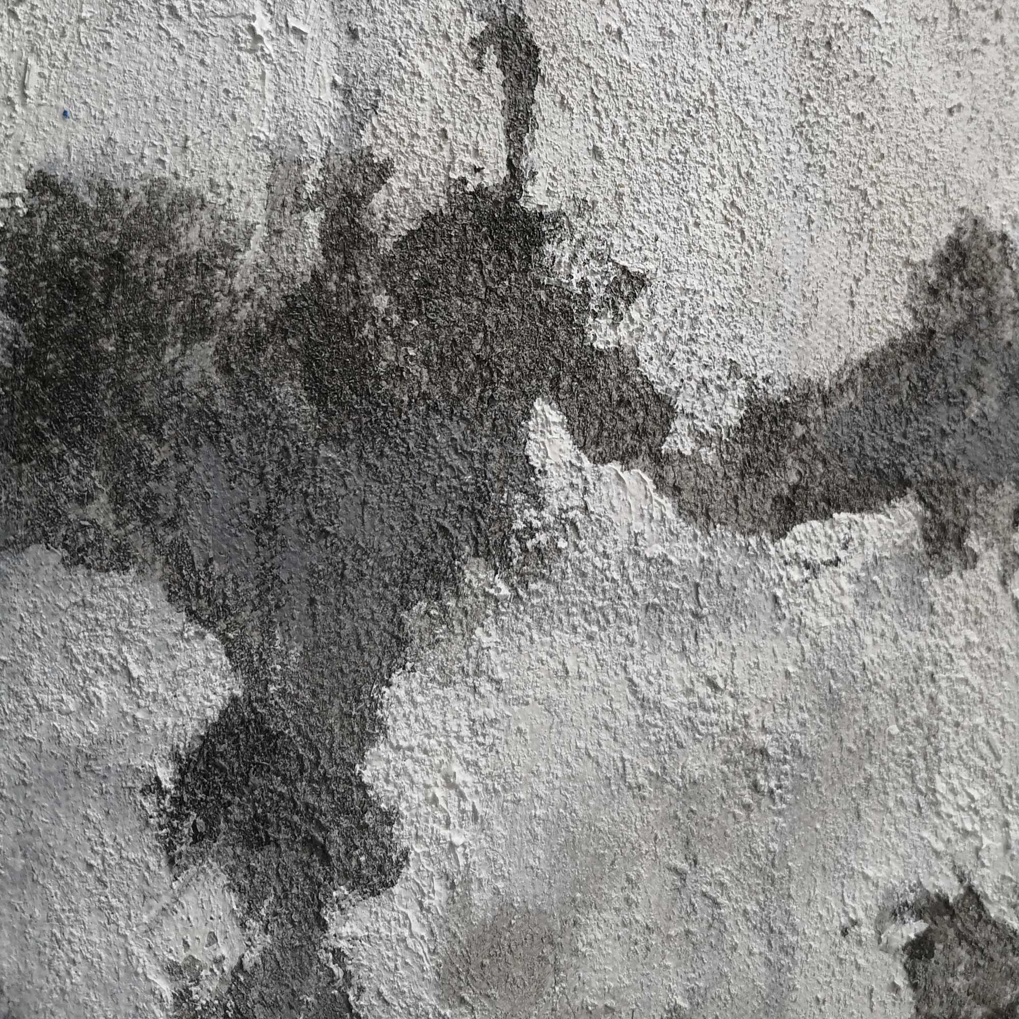 Wall Art Monochrome Woodland Haze