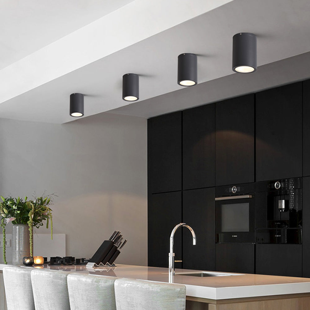 Ray Modern Black Cylindrical Flush Mount Ceiling Light Spotlight - Neutralighting