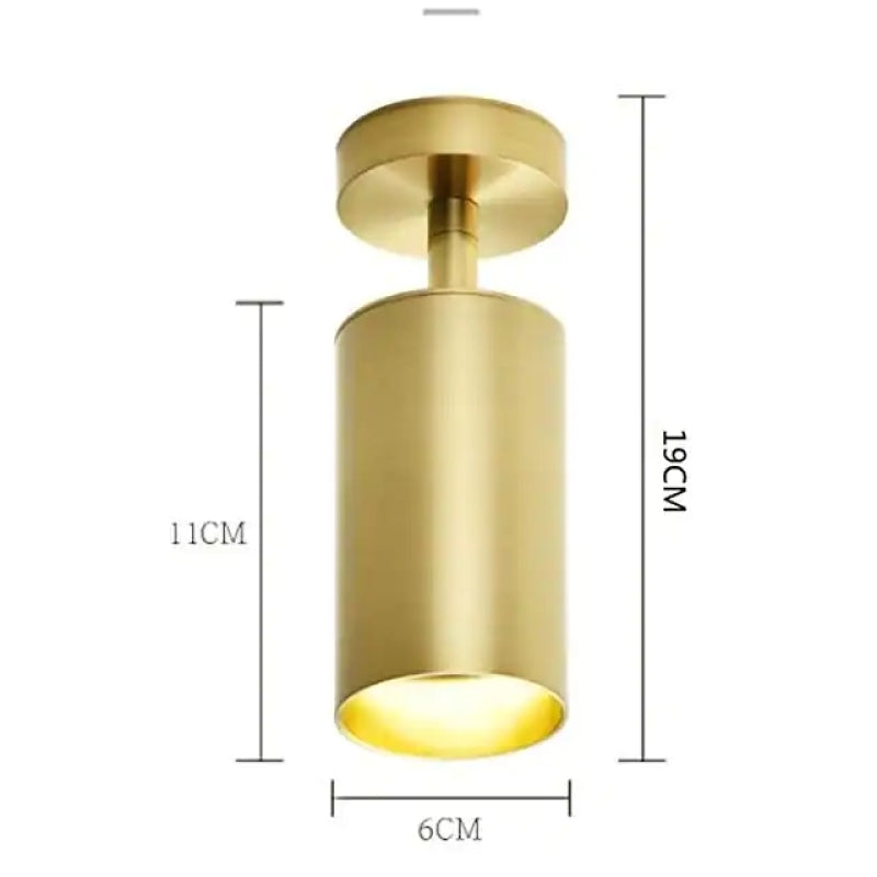 Aria Moderno Gold Cylinder Spotlight Background Flush Mount Ceiling Light, Metal - Neutralighting