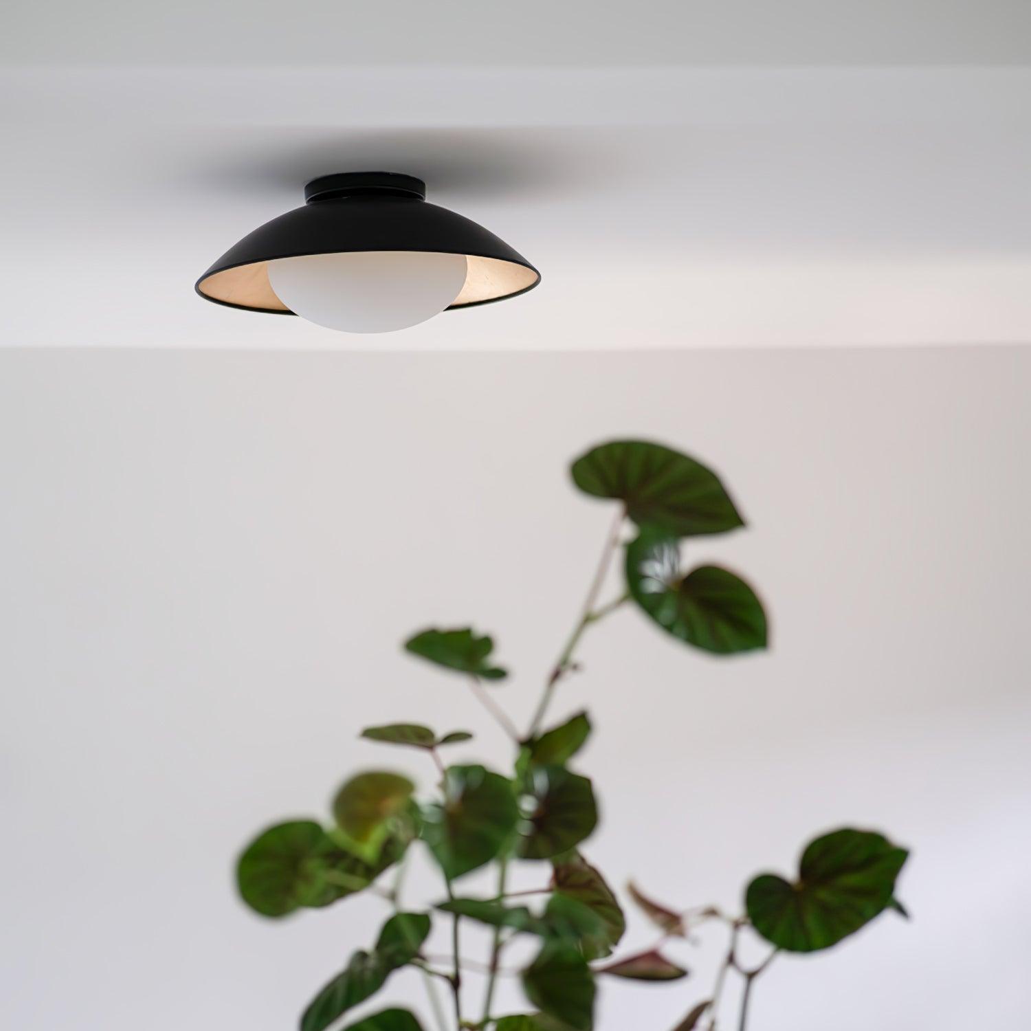 Arinora Ceiling Light - Neutralighting