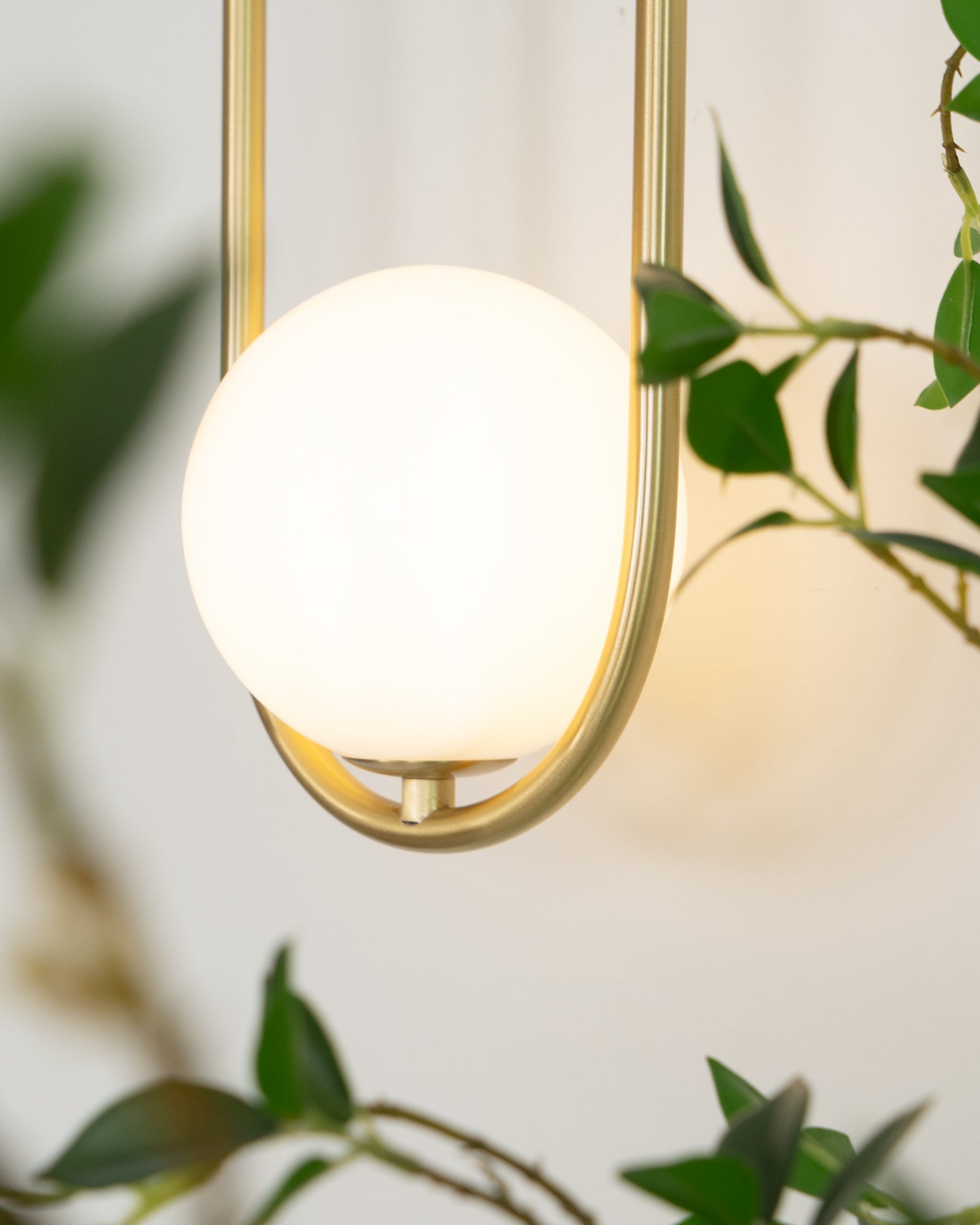 Wall Lamp with Brass Loop Frame and Glass Globe - Neutralighting