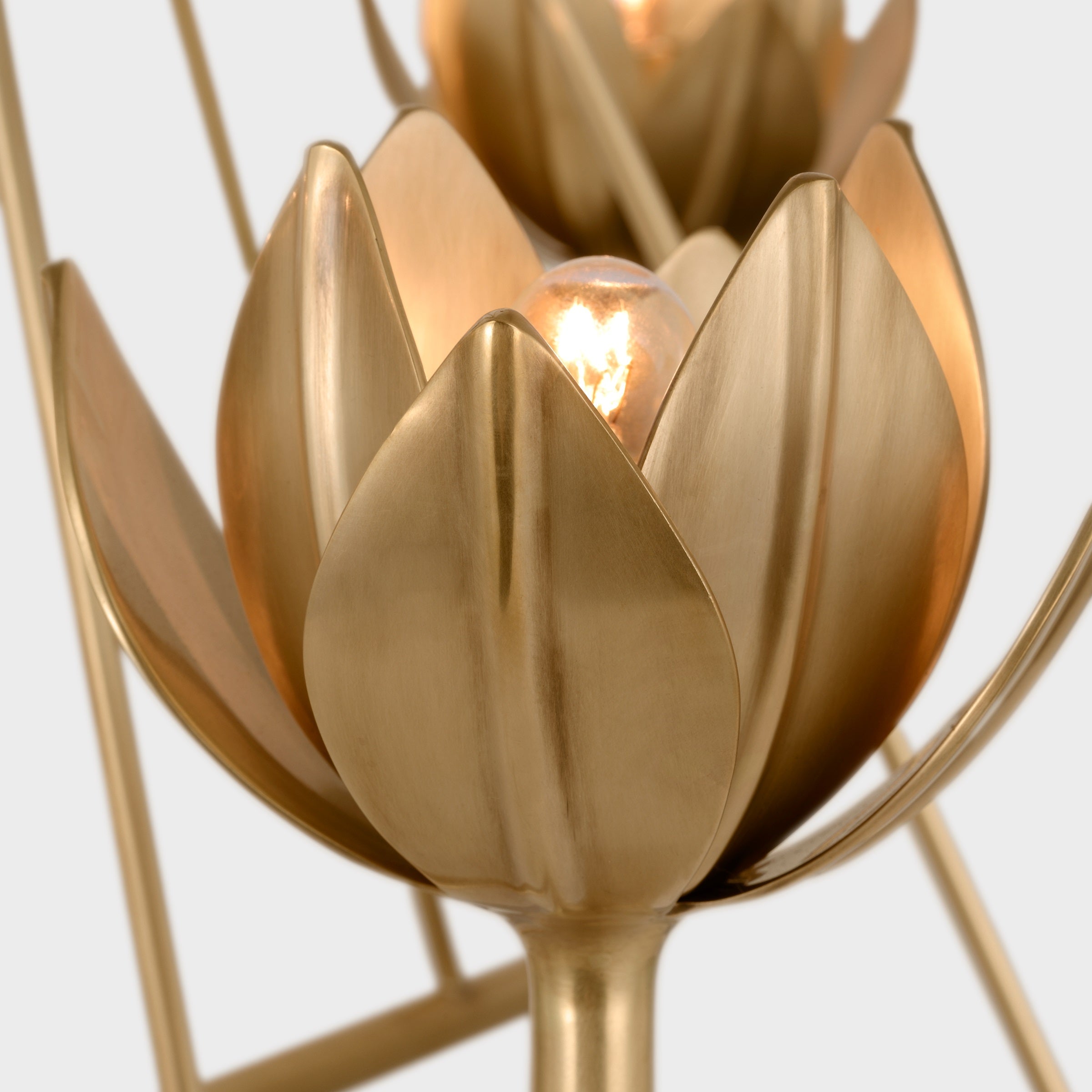 Alberto Modern Minimalist Floral Brass Chandelier - Neutralighting